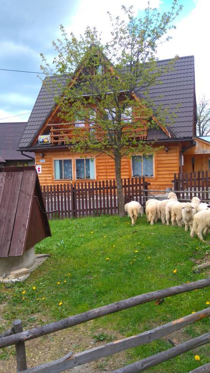 Pokoje U Sarnowskich Kościelisko Esterno foto