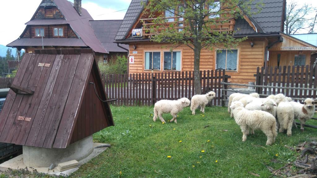 Pokoje U Sarnowskich Kościelisko Esterno foto